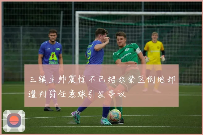 三镇主帅震惊不已绍尔禁区倒地却遭判罚任意球引发争议
