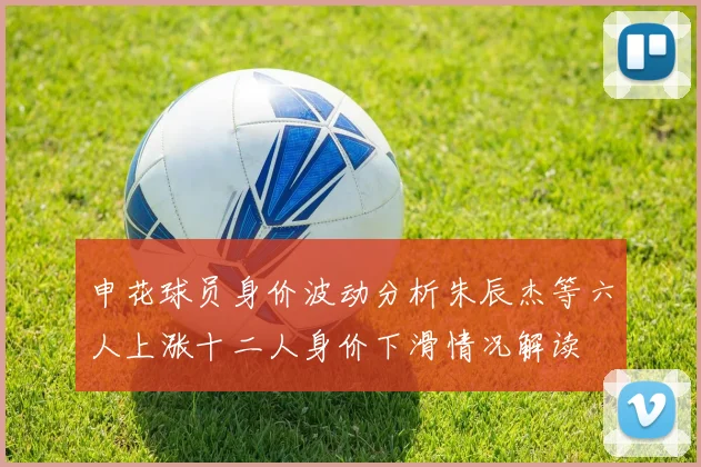 申花球员身价波动分析朱辰杰等六人上涨十二人身价下滑情况解读